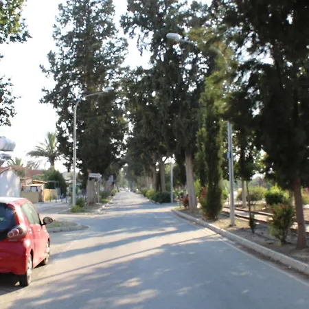 Vandrarhem Costas Action 2 Nicosia