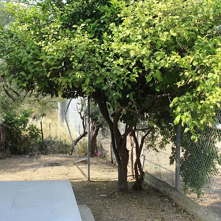 Costas Action 2 Vandrarhem Nicosia