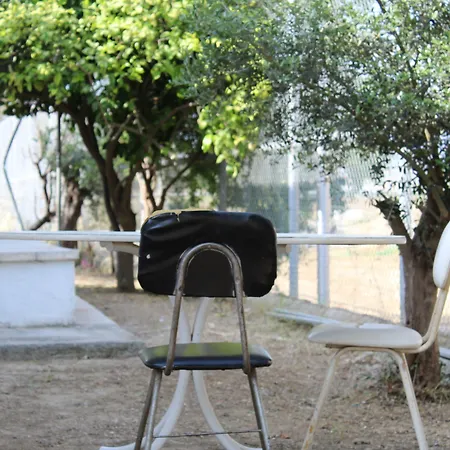 Costas Action 2 Nicosia