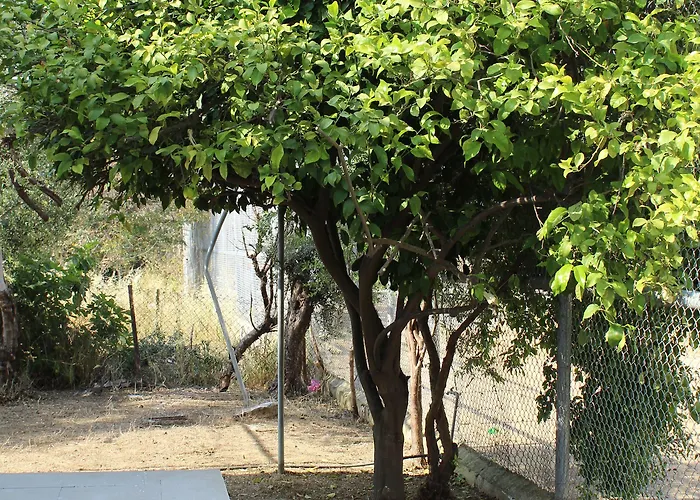 Costas Action 2 Hostel Nikósie